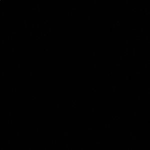 Meet your Posher, Jade